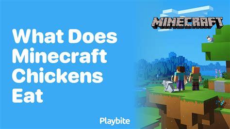 what does minecraft chickens eat|minecraft chicken drops.